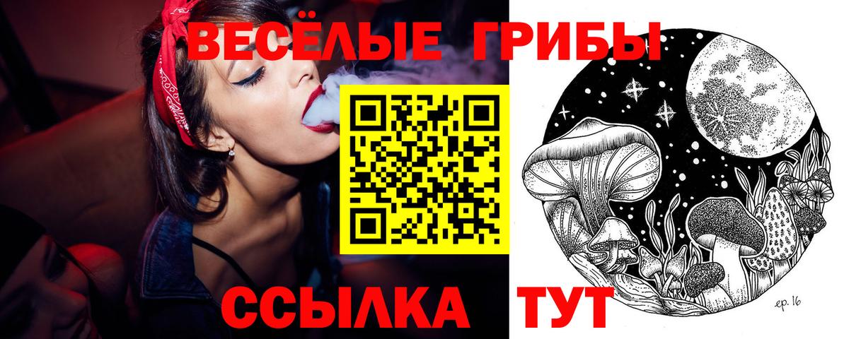 Псилоцибиновые грибы GOLDEN TEACHER  цена   Осинники  Вход с VPN 